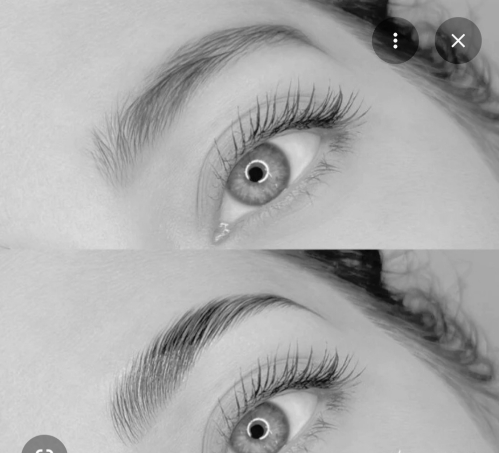 Eyebrow Lamination