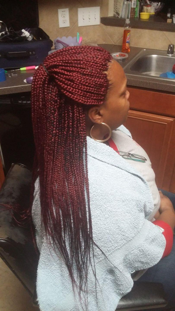 Small Box Braids (Lower Back Length