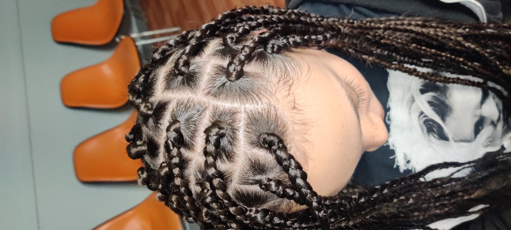 Lower Back Box Braids