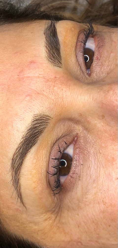 Microblading 6-12 Week Touch Up