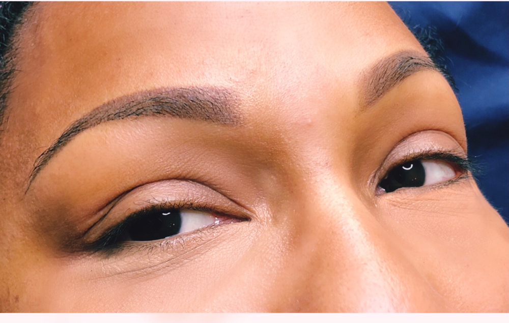 Powder Brow 1-3 Year Touch Up