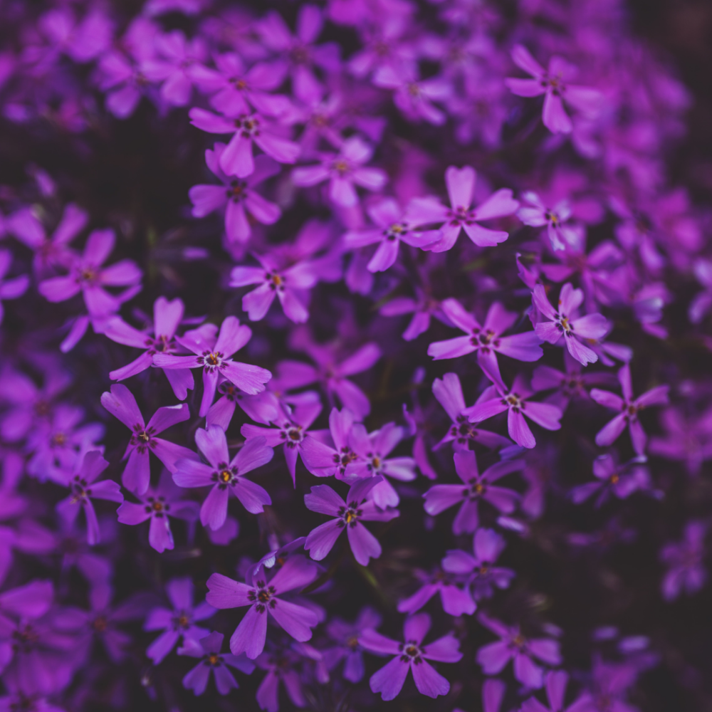 90 Minute Custom Facial