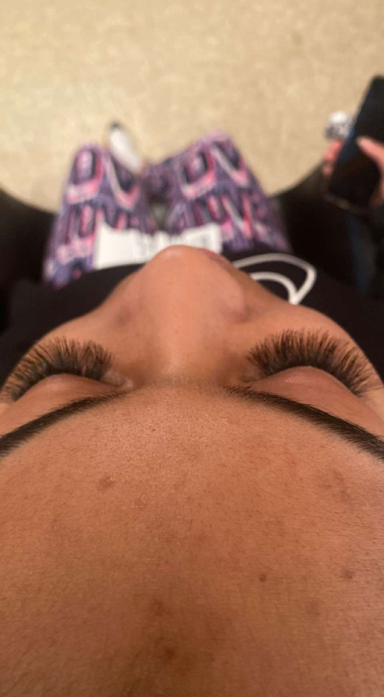 Lashes(individuals Not Hybrid)