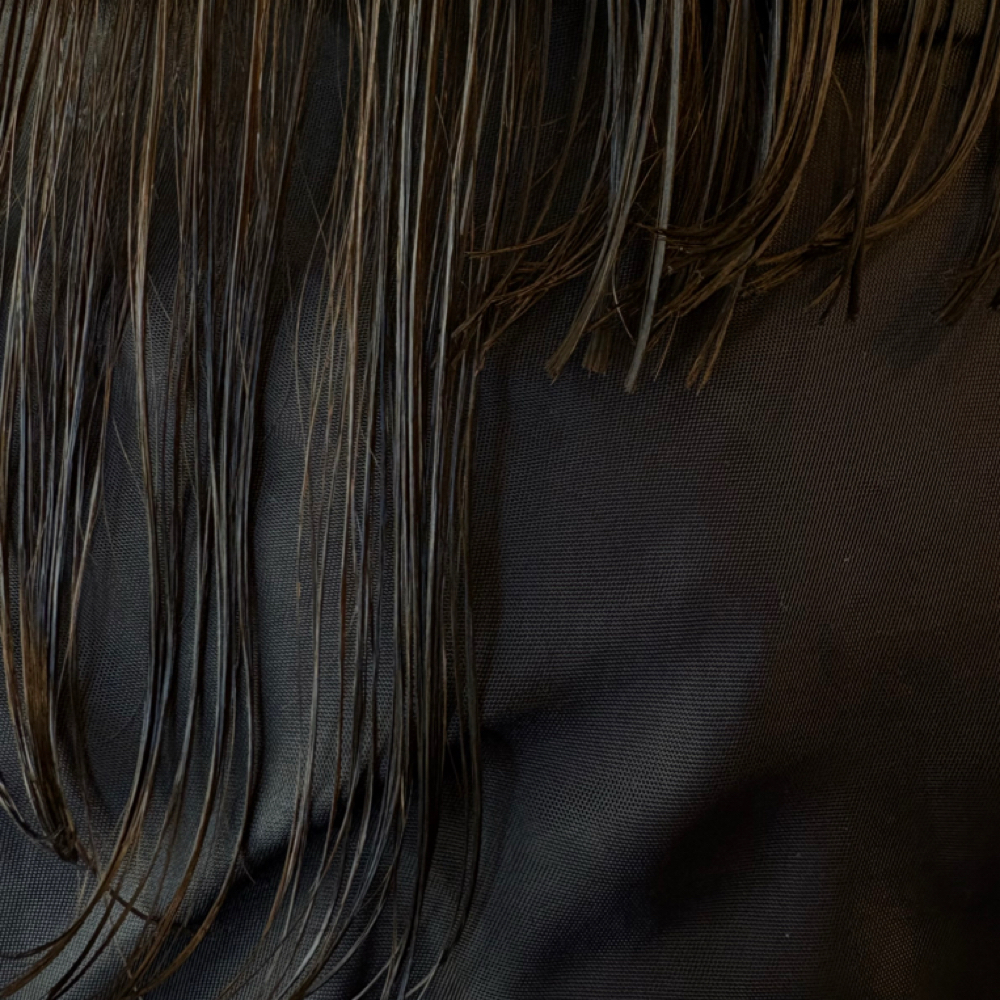 WOMEN’S HAIRCUT at ManeByMinnie in Nashville, TN