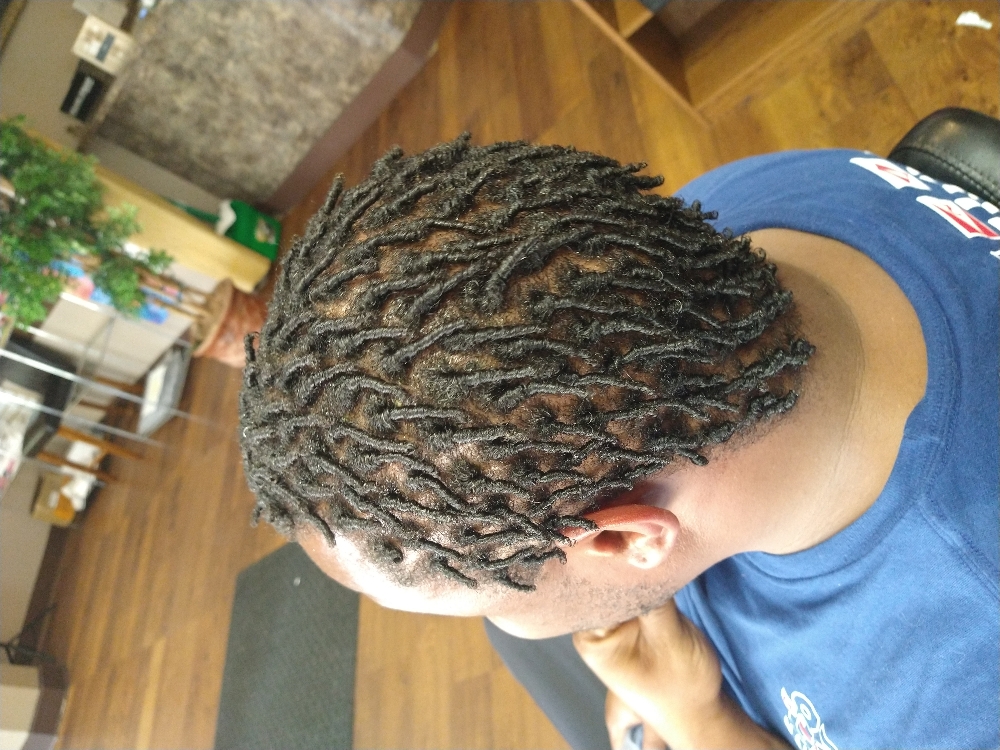 Starter Dreads