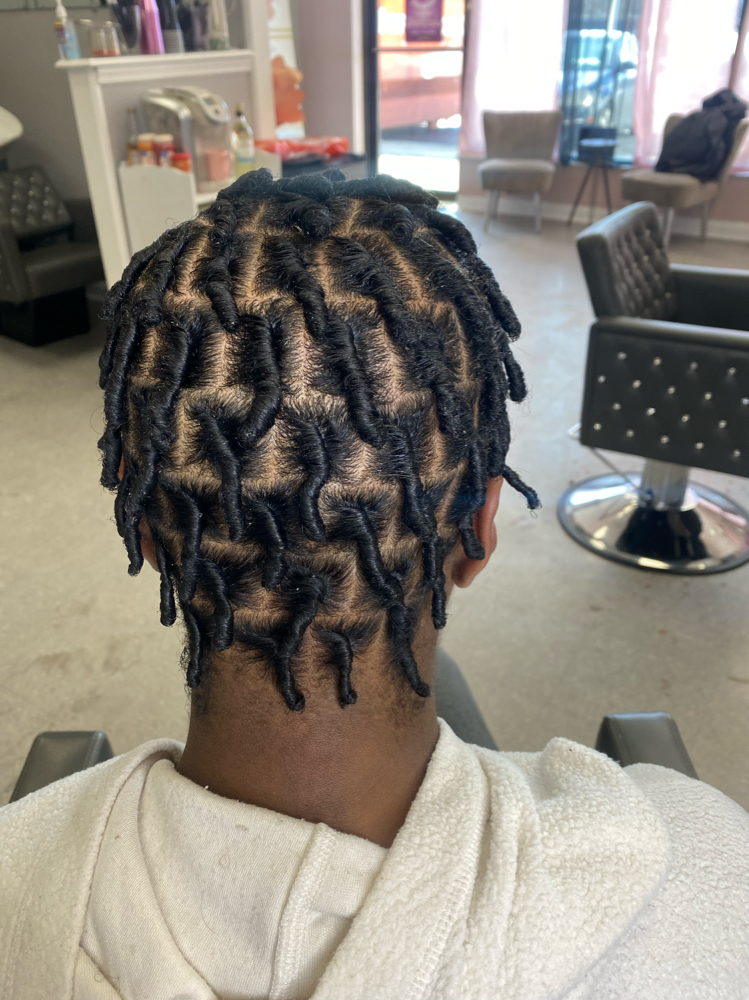 Starter Locs