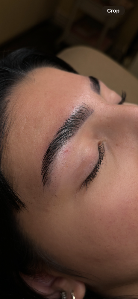 Brow Lami + Tint