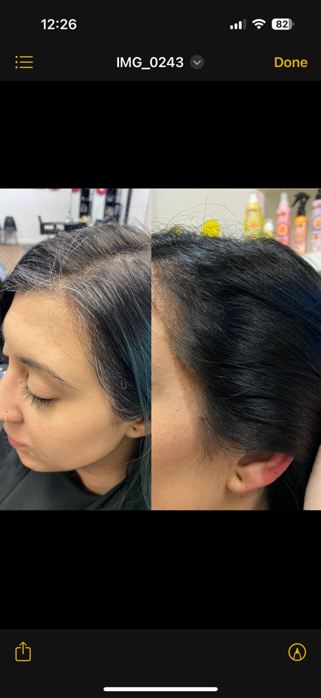 THE ROOT REFRESH