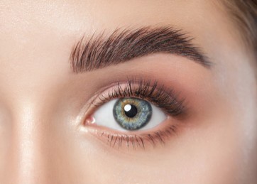Brow Tint With Wax