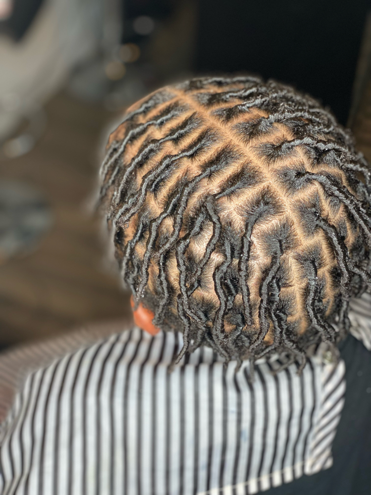 Kid Starter Locs