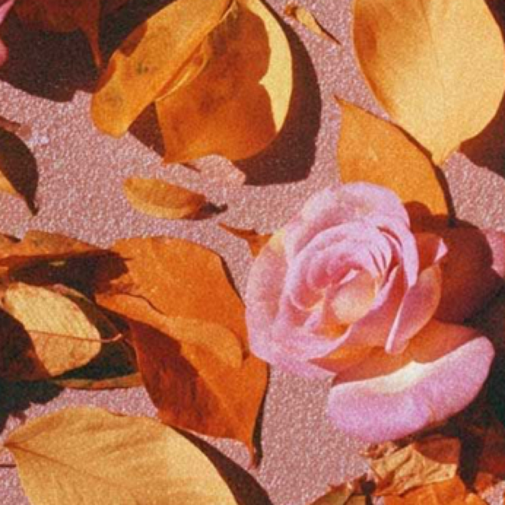 🍂September Self-Care Specials 🍂 at A.Rose Beauty in San Antonio, TX