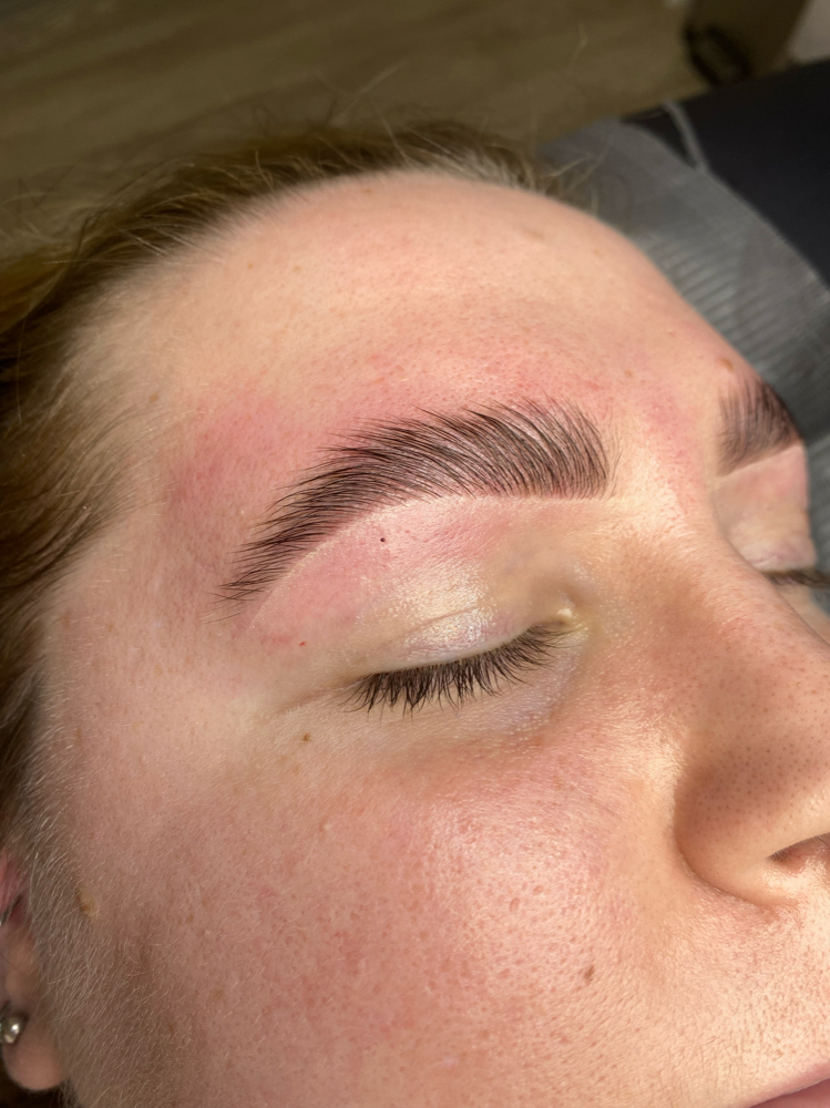 Brow Wax, Tint, & Lamination