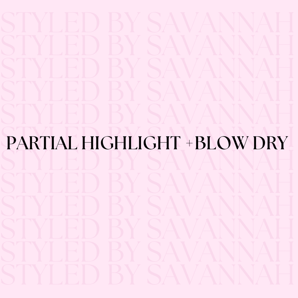 Partial Highlight + Blow Dry