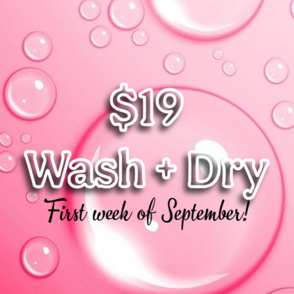 $19 WASH AND BLOWDRY DEAL* at Emmas Beauty Bar LLC in Laurel, MS
