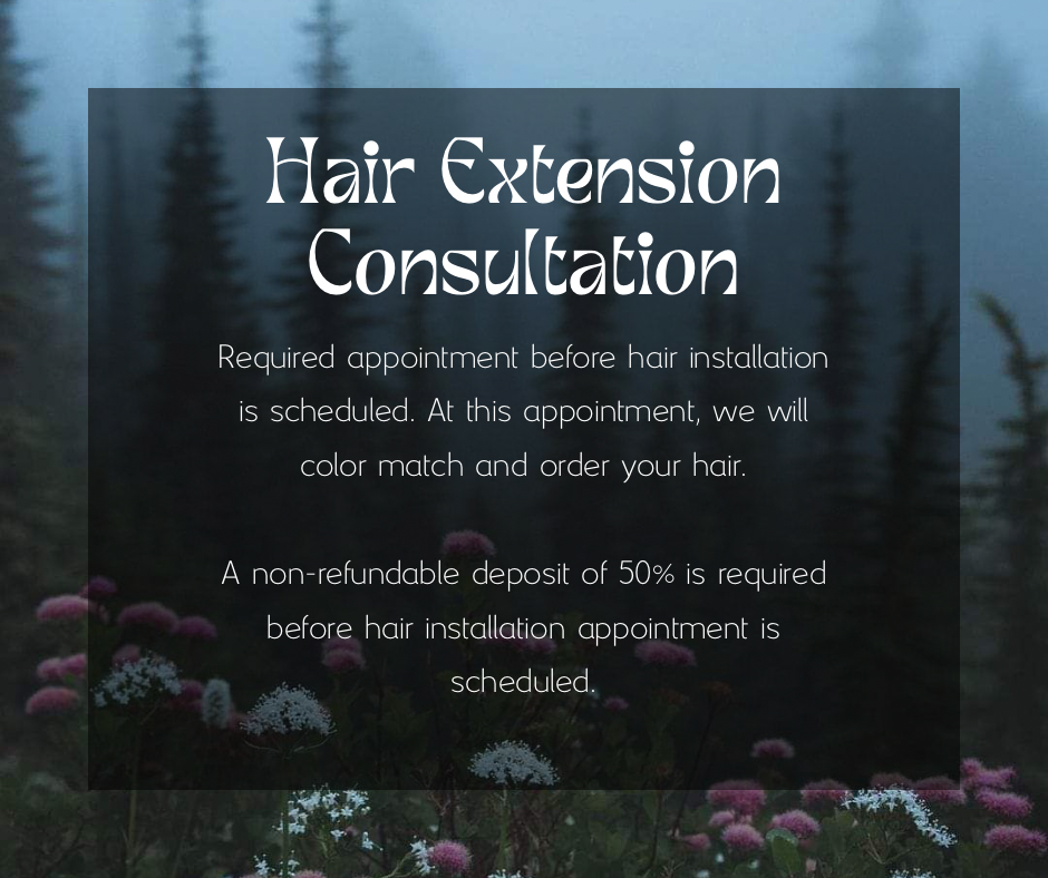 Hair Extension Consultation