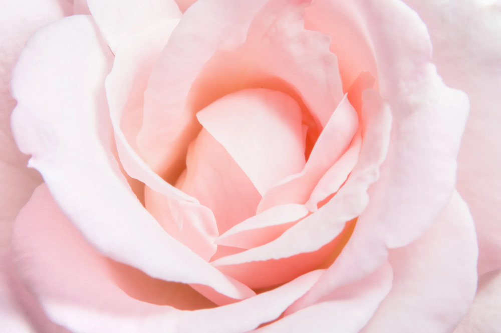 Serenity steam at SheRiseWellness in Hampton, VA