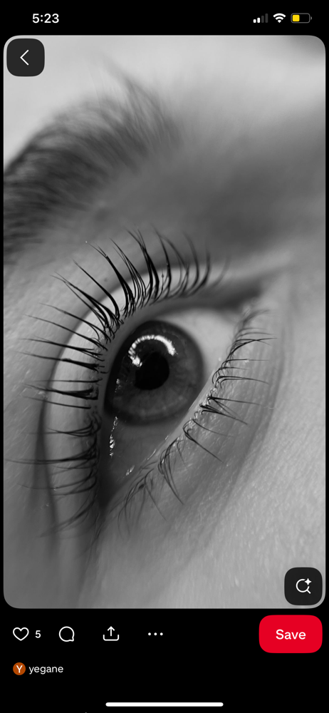 Korean Lash Lift ( New Client) at Lift Glow Beauty By Liz in Austin, TX