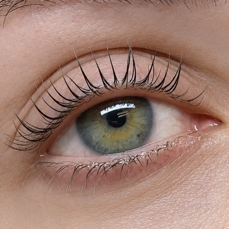 Lash Lift at Gingie Lashes & Brows in Buffalo Grove, IL