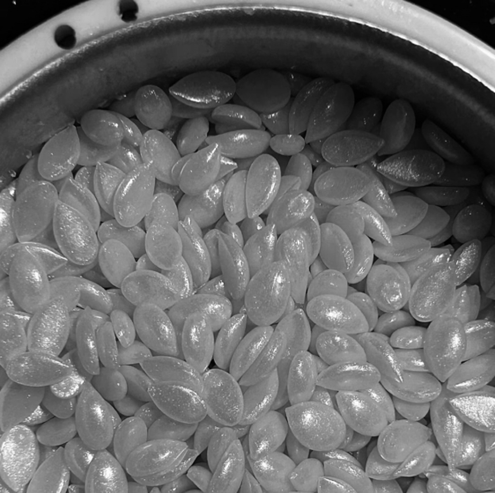 BACK WAX at Belle Beautique, LLC in Westfield, IN