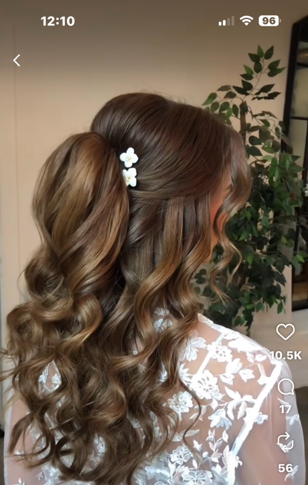 Half Updo(clean dry hair)