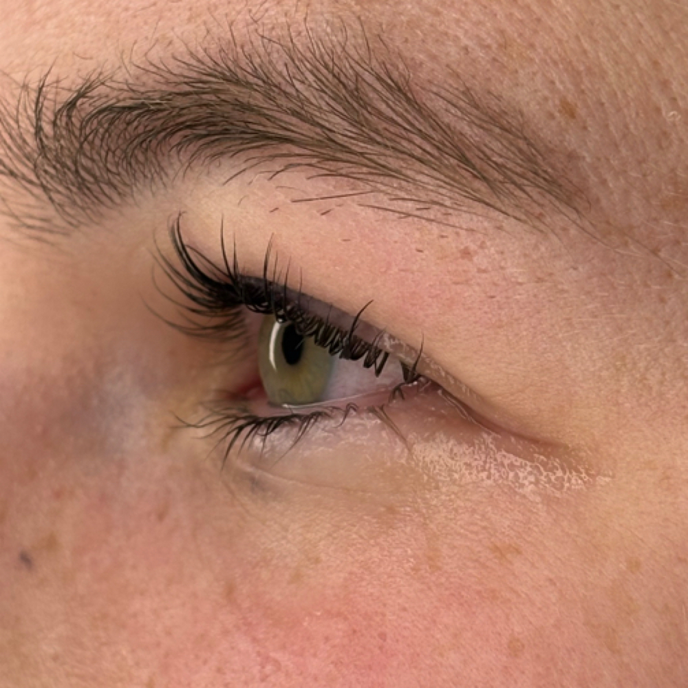 Lash Lift + Tint (optional) at Etheria by Rebecca LLC in Windsor Locks, CT