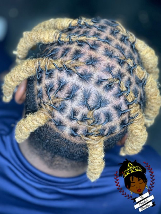 Half head of locs