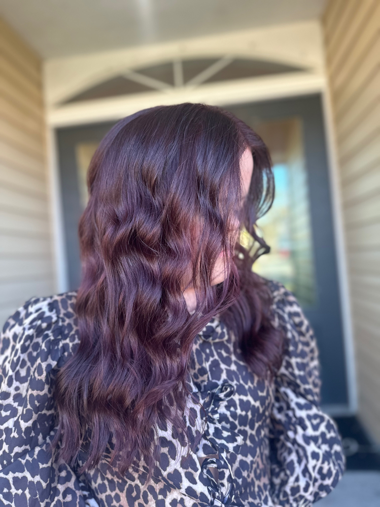 All Over Color(Roots And Ends) at Hair by Kenidy Grace in Lake City, FL