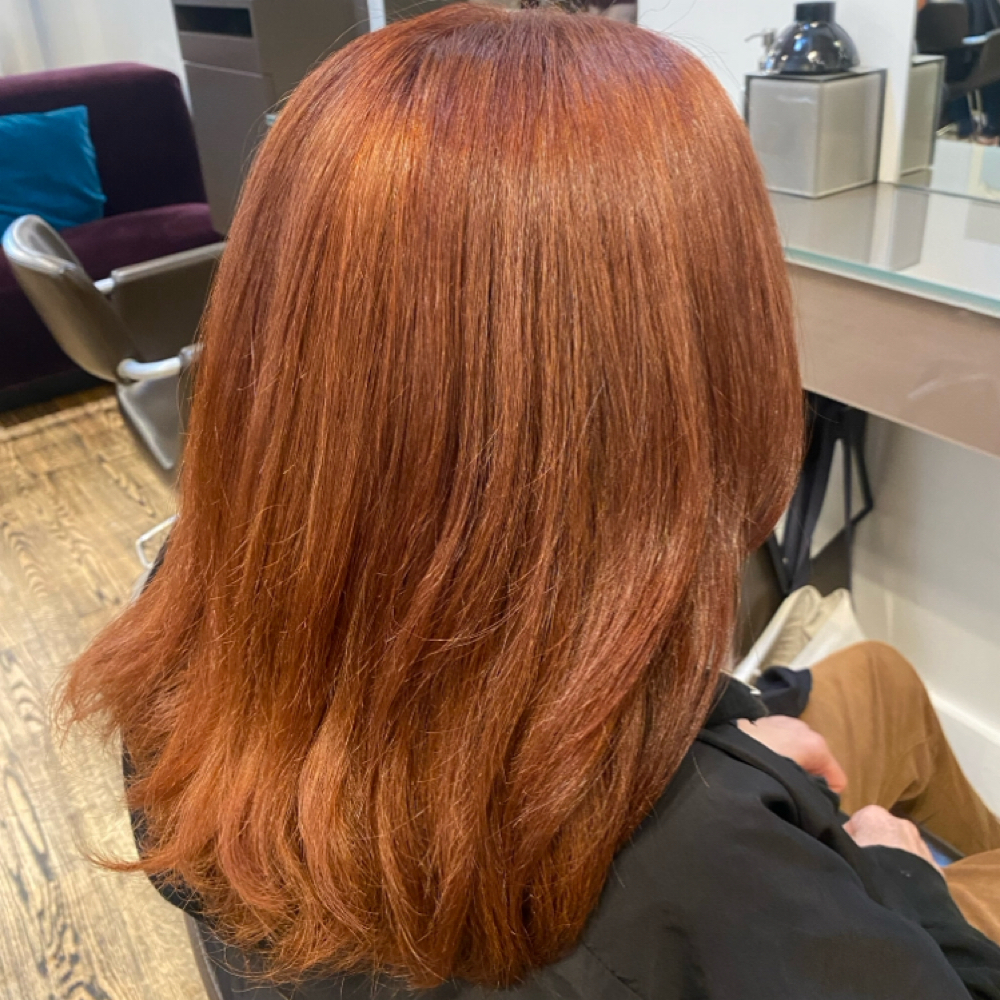 Tint With Gloss at Wendi Canales in San Francisco, CA