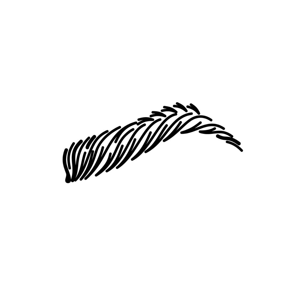 Brow Lamination & Tint
