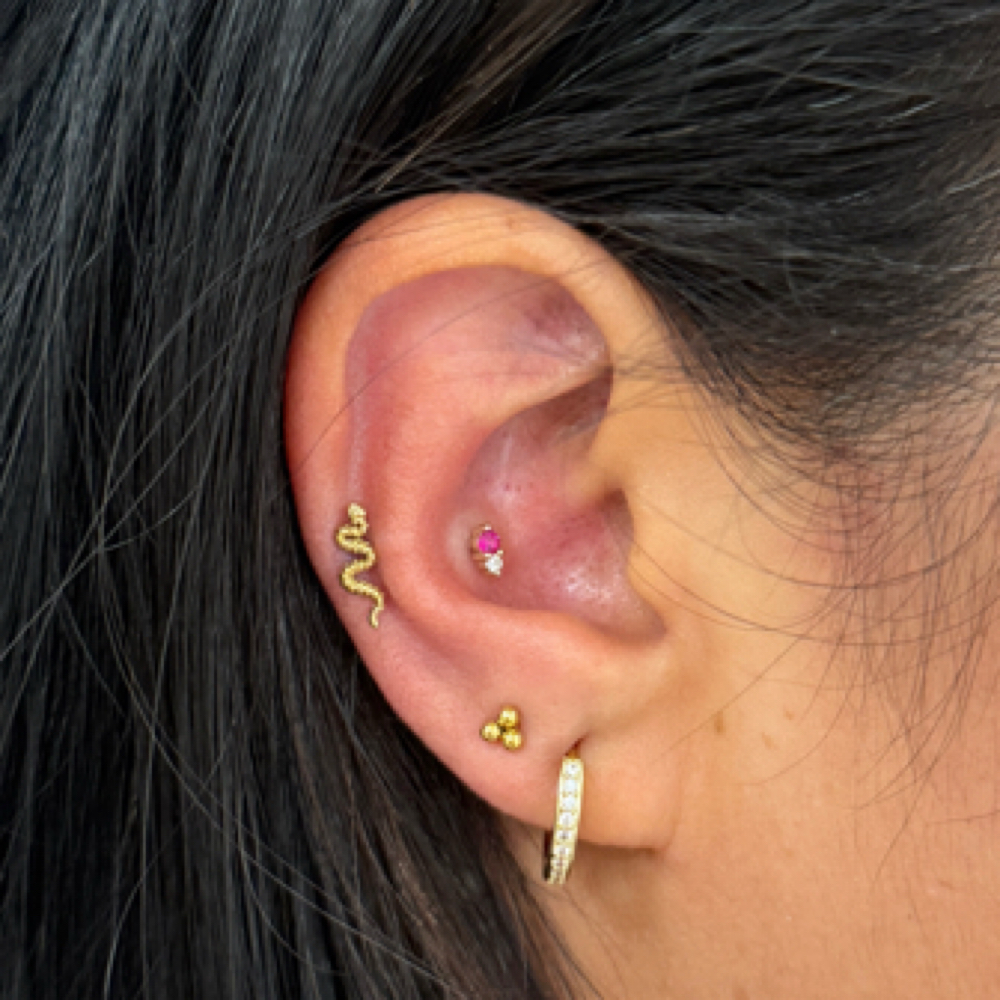 Conch at Chanti’s Beauty Loft in NC, NC