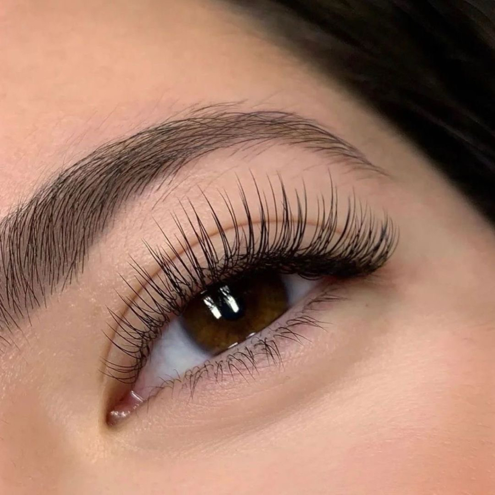 Classic Lash Full Set at Mary Brows & Lashes in Los Gatos, CA