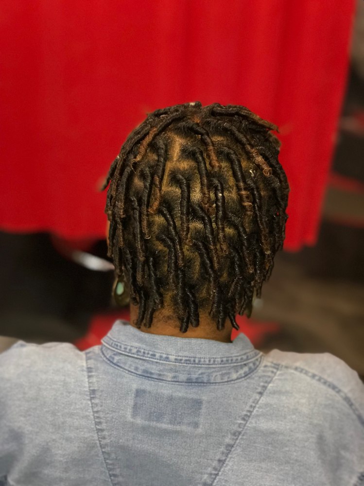 Starter Locs