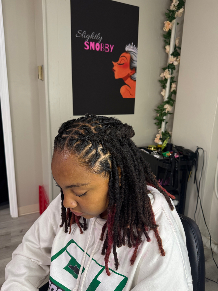 Loc Wash And Retwist