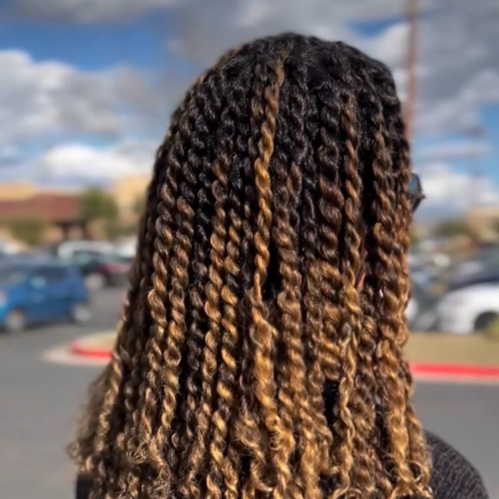 Two Strand Twist/Long Hair Length at Image Is Everything Salon