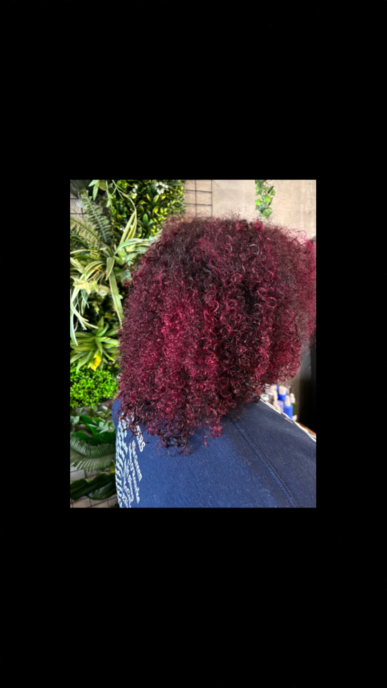 Single Color