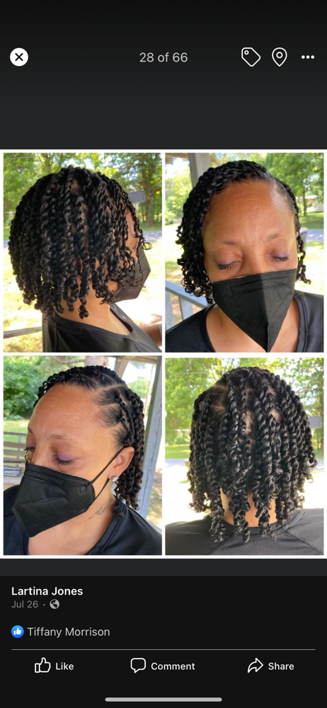 2 Strand Twist ($50 And Up!!)