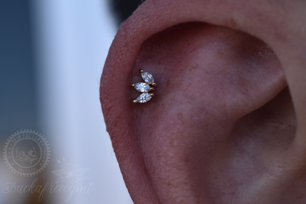 Cartilage 14yrs+