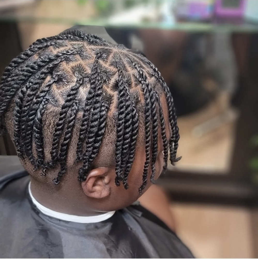 Two Strand Twist at Jaybraidsandwigs in Baytown, TX