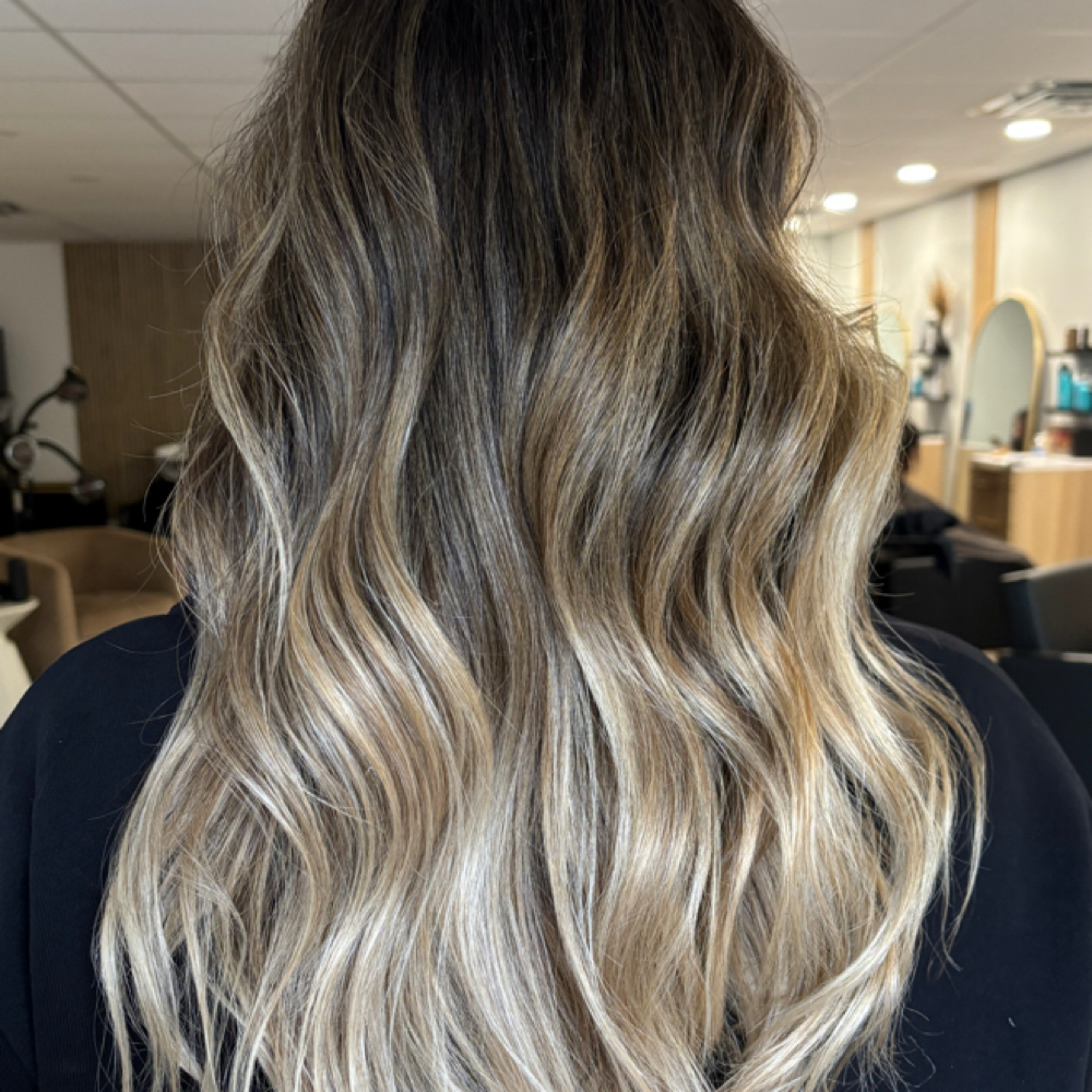 Toner Refresh at Dakota Beach Gölden Salon & Co. in Plymouth, MI