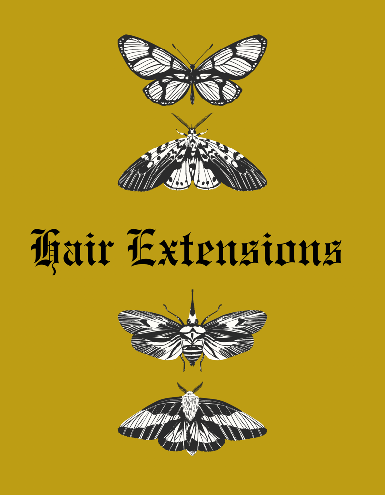 Hair Extensions Installation