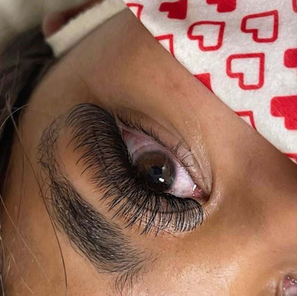Volume Lashes