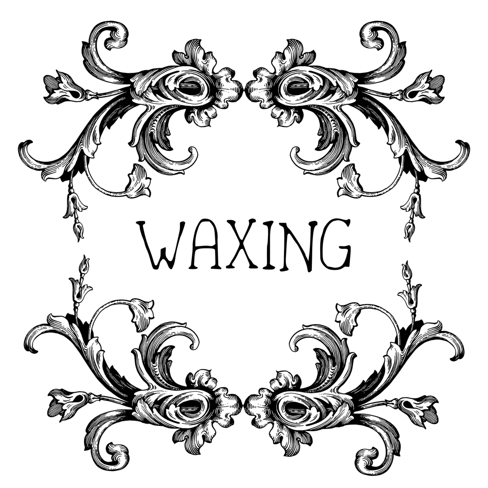 Upper Lip Wax