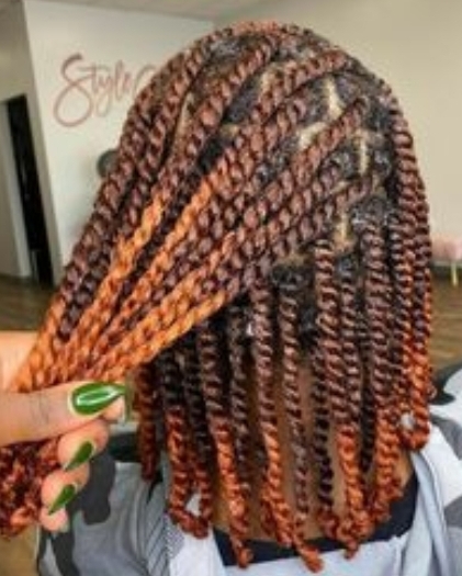 Natural Hair 2 Strand Twists