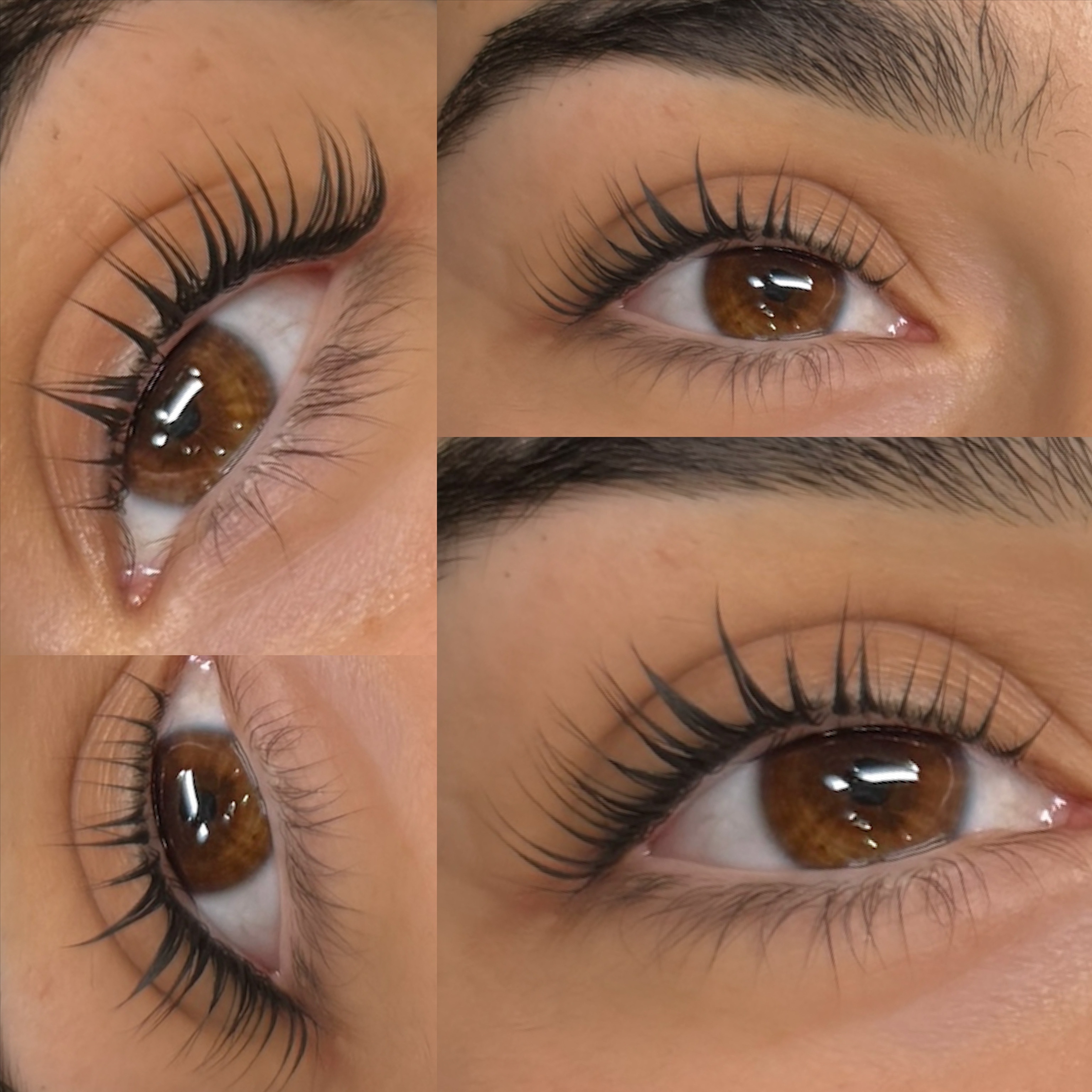 Lash Lift + Tint at Garden Esthetics in Antioch, CA