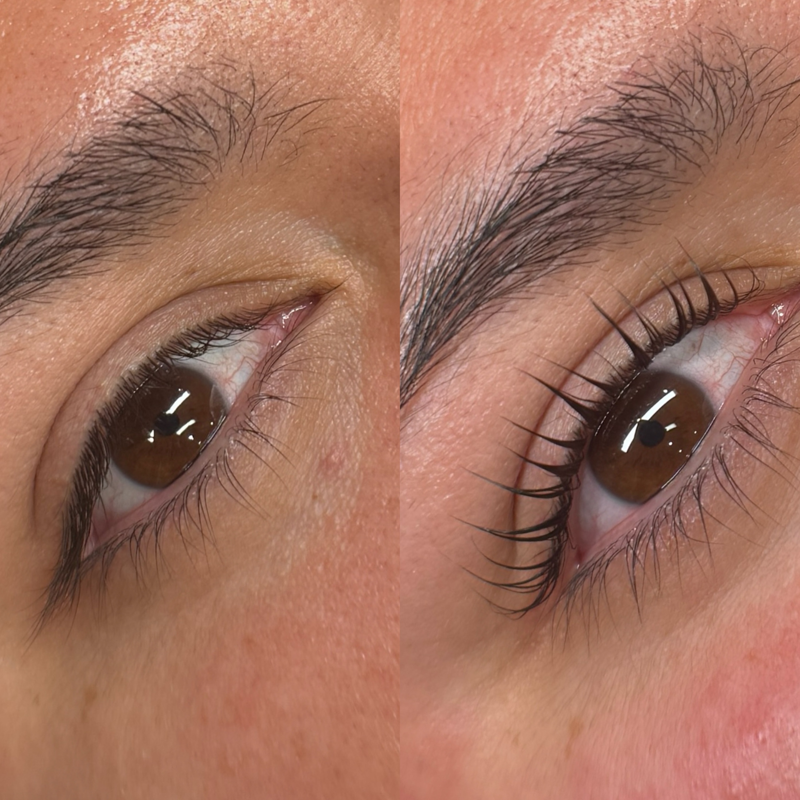 Lash Lift at Garden Esthetics in Antioch, CA