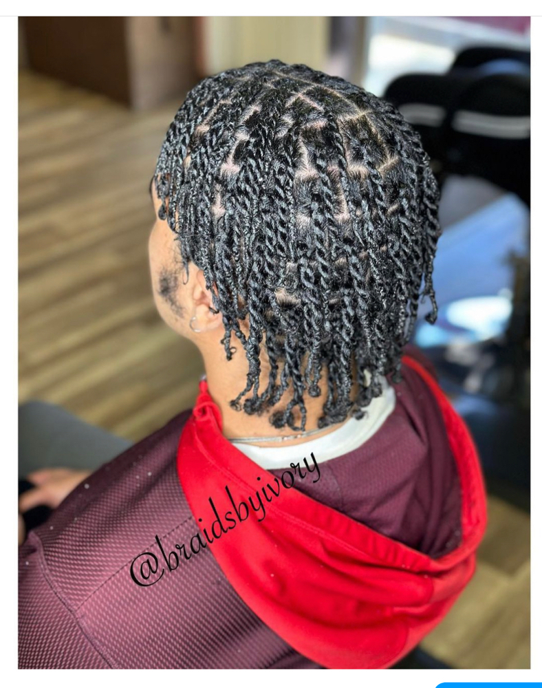 Men 2 Strands Twists