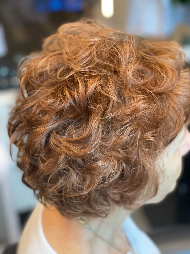 Shampoo & Set at Pamela Piper @ Shadow Salon in Kingsport, TN