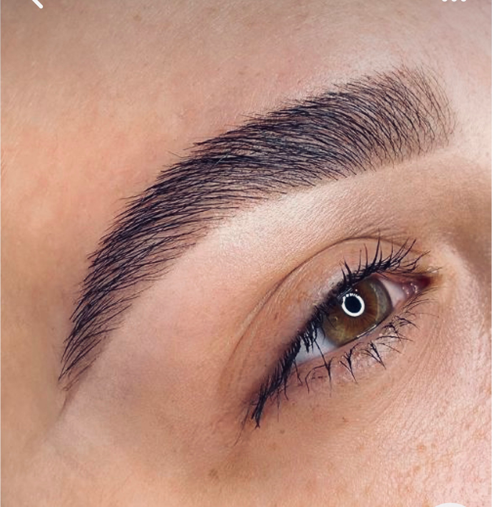 Brow 4-5 Weeks Touch Up