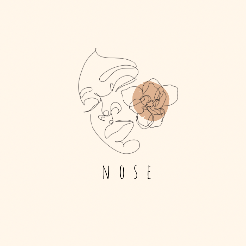 Nose