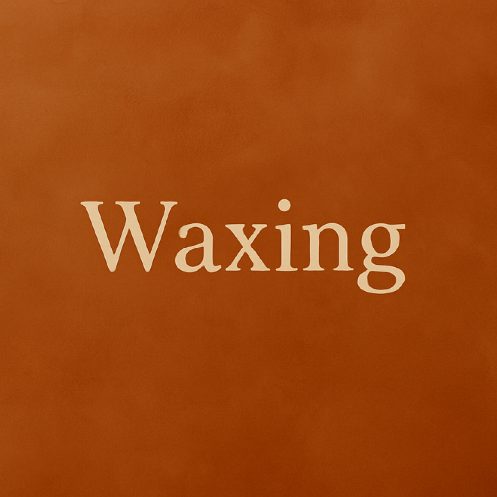 Inner Thigh Wax at She Skin & Body in North Haven, CT